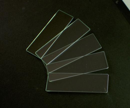 7101-BU_-_Microscope_Slides.jpg