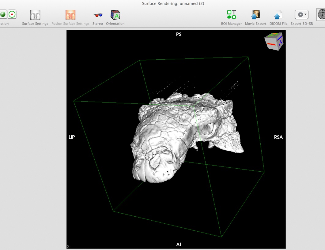 8. surface render.jpeg