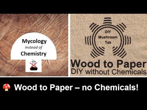 8.1 - Wood to Paper with Mycology