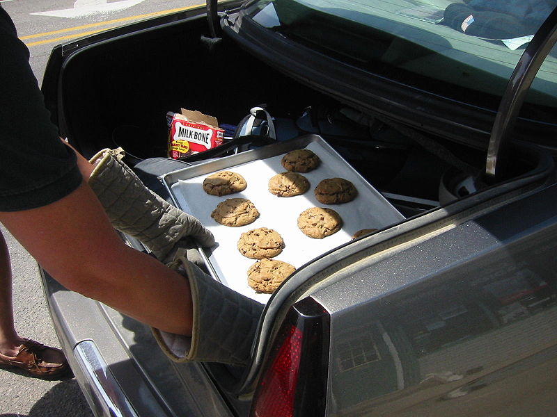 800px-Cookies_of_all_sorts_in_the_trunk.jpg