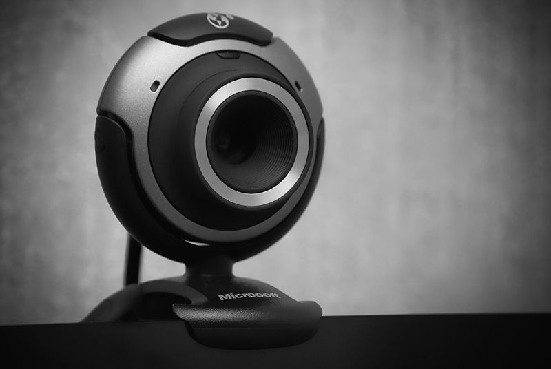 800px-Webcam_grayscale.jpg