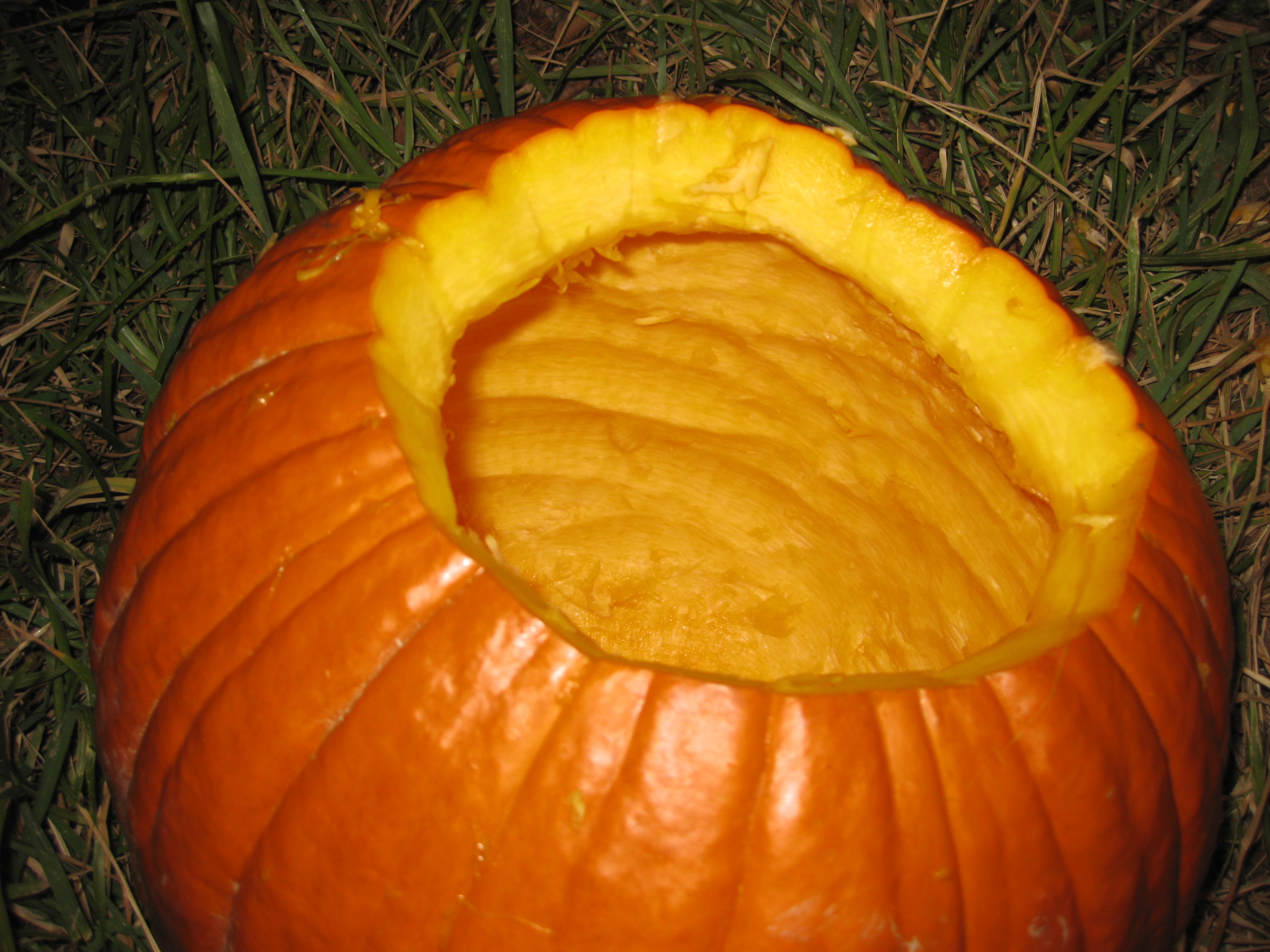 9 Pumpkin Gutter Tool.JPG