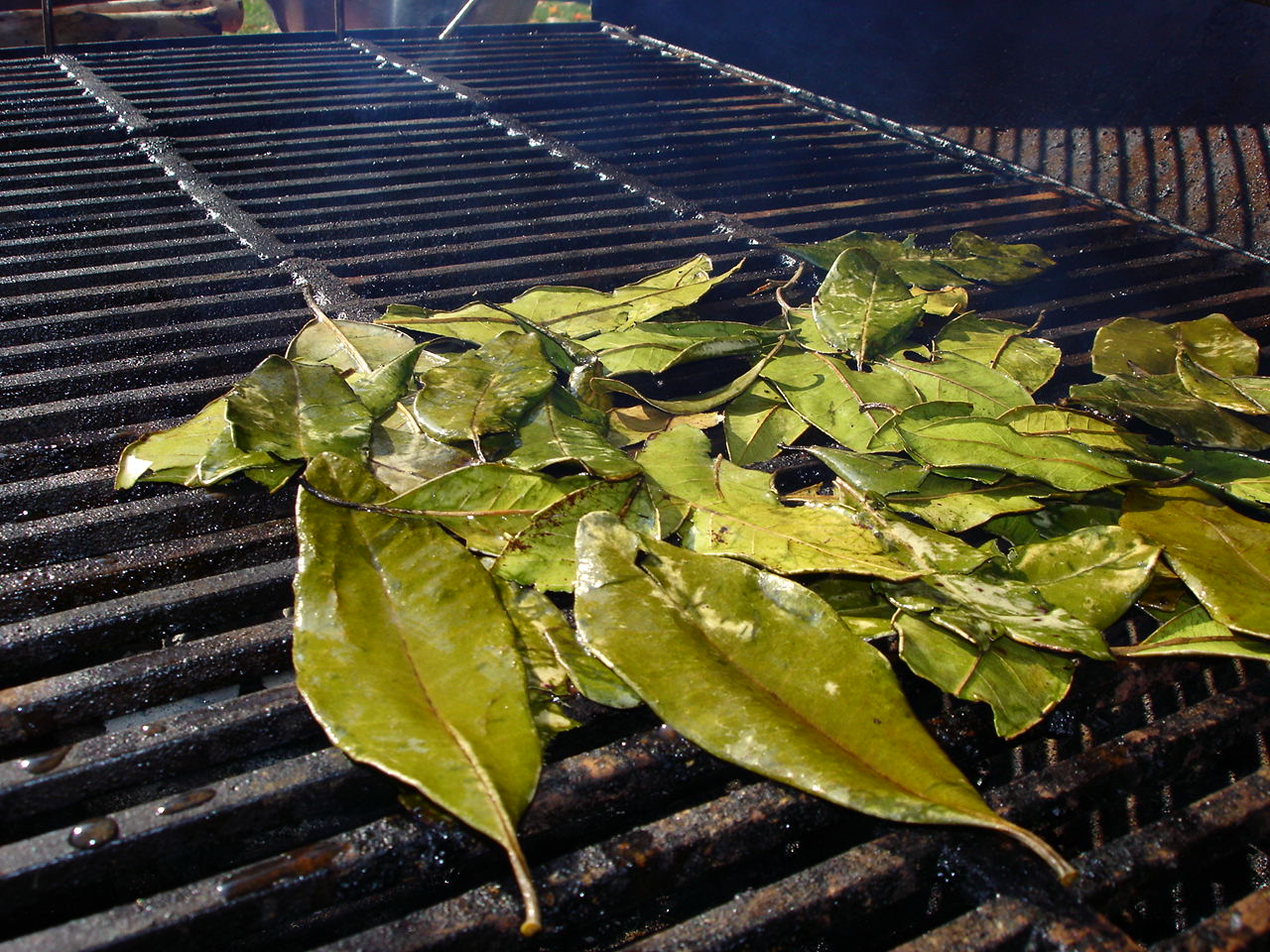 9. leaves on grill 2.jpg