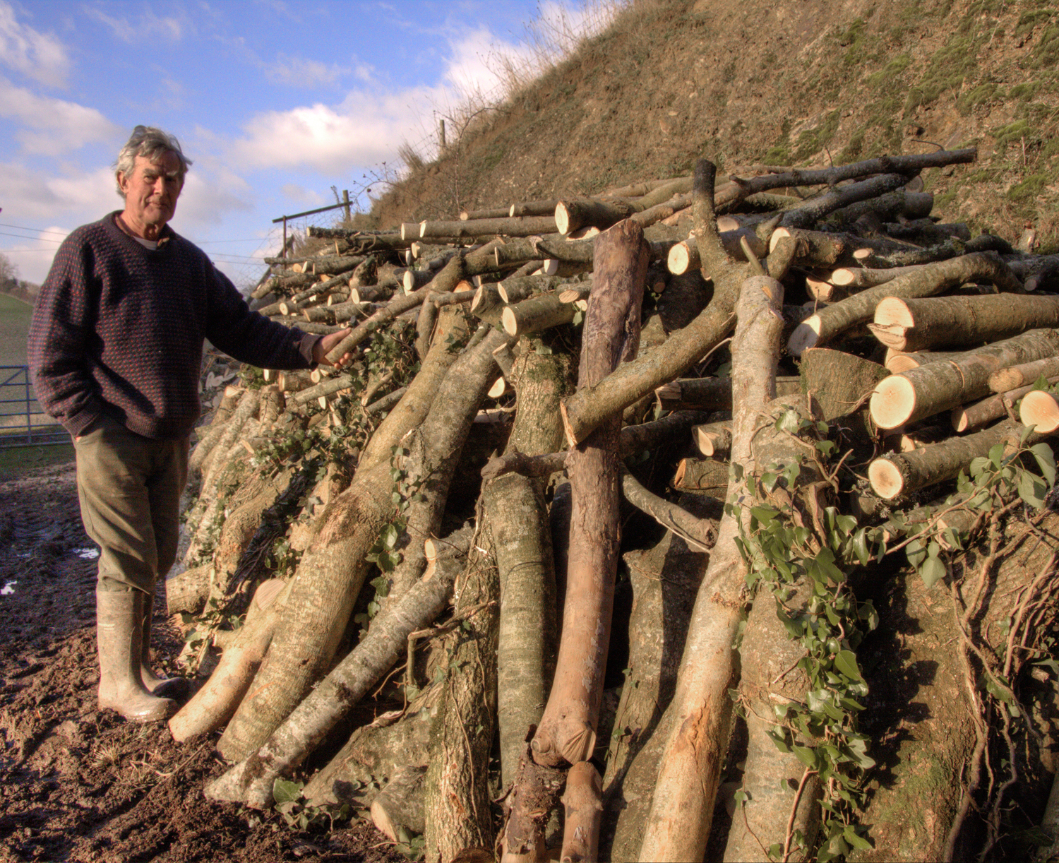 A cordwood stacked 02.jpg