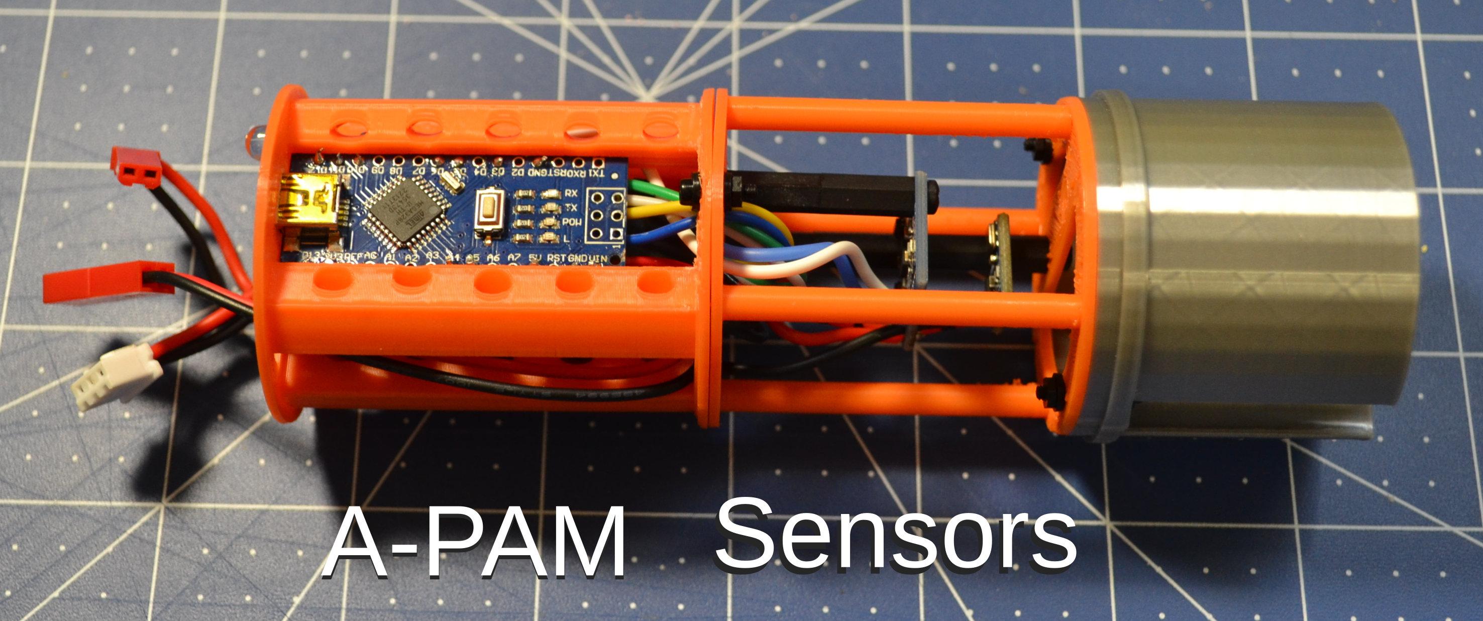 A-PAM and Sensor Package.jpg