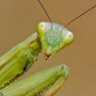 AOh14GgdWxoTN-N9ca6xSIGFAfURiYuMNUxcBjF0cWFogg=s96-c.png