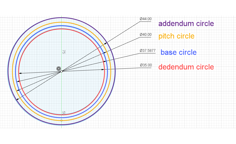 Addendum, dedendum, pitch and base circles edit.png