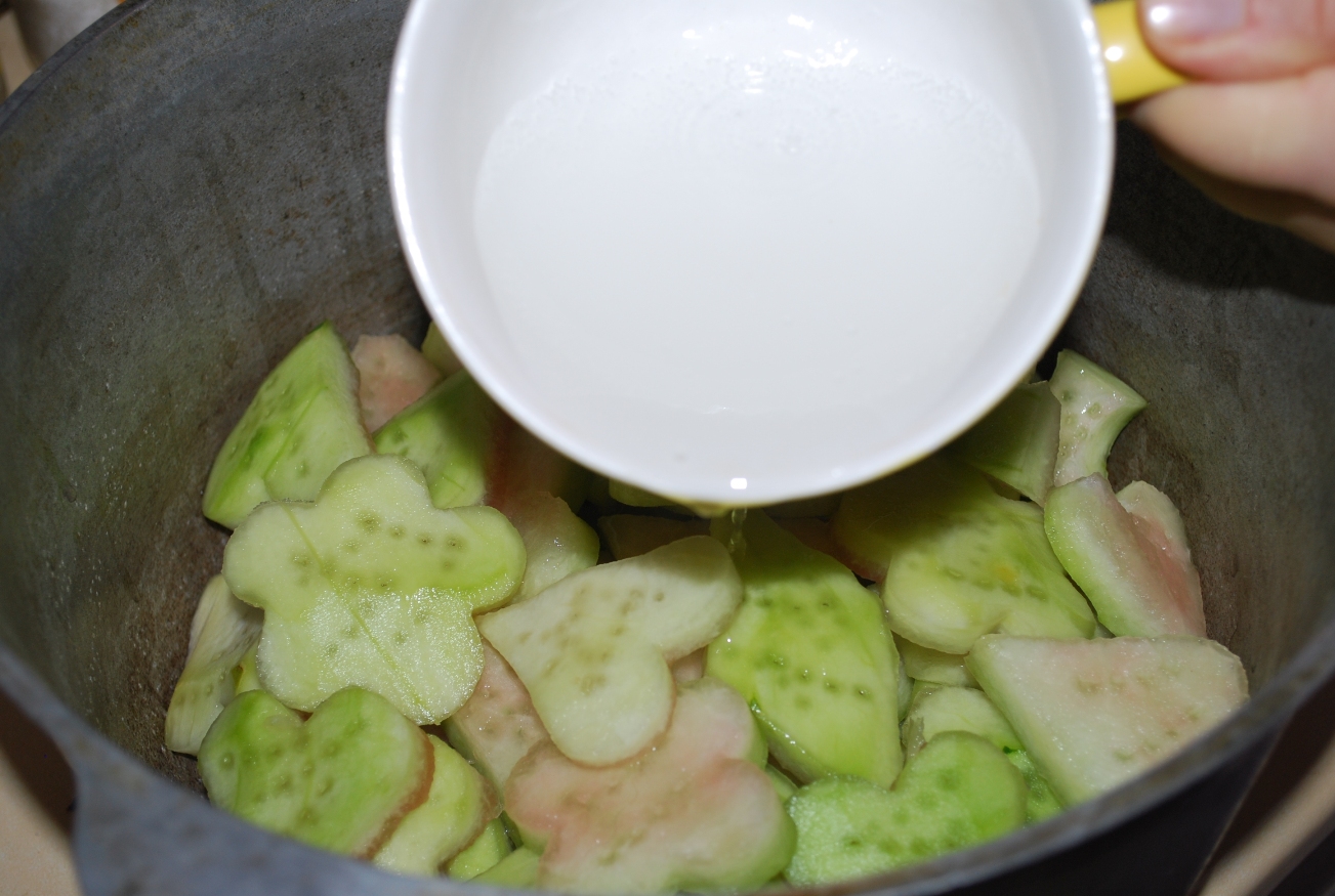 Adding Bicarbonate of Soda to Melons - Copy.JPG