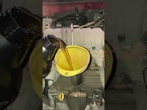 Adding Oil into Car