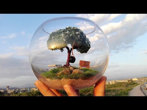 Alone tree | terrarium | diorama