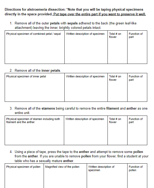 Alstromeria lab page 2.PNG