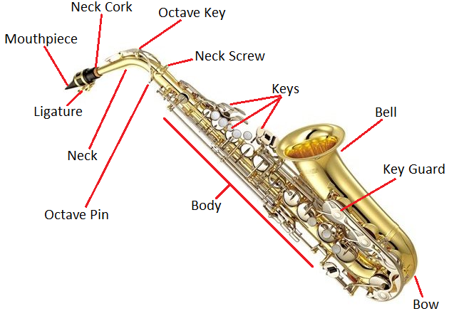 Alto-Saxophone-Anatomy1.png