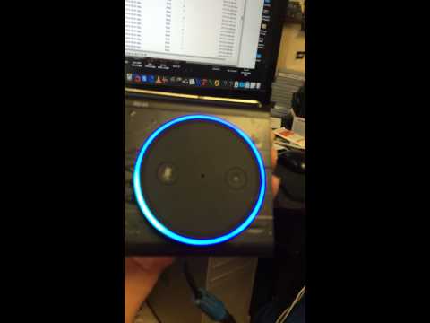 Amazon Echo Spa Version