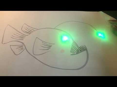 Anglerfish Circuit Homework