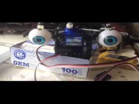 Animatronic Eyes2