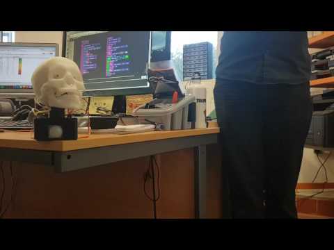 Animatronic Robotic Talking Skull