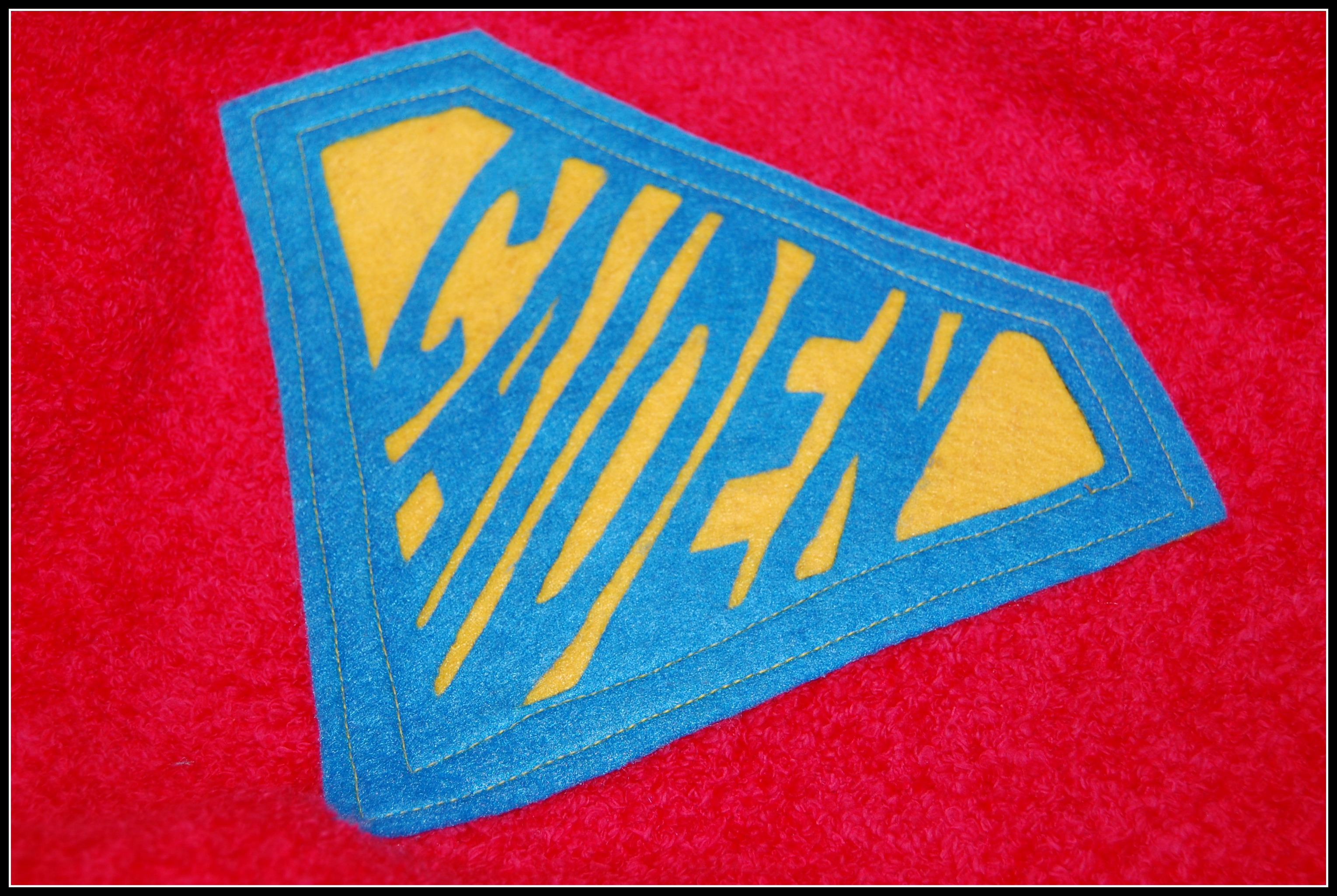 Applique Attached.jpg