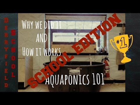 Aquaponics 101 | THE SCHOOL EDITION | Do It and You're Cool