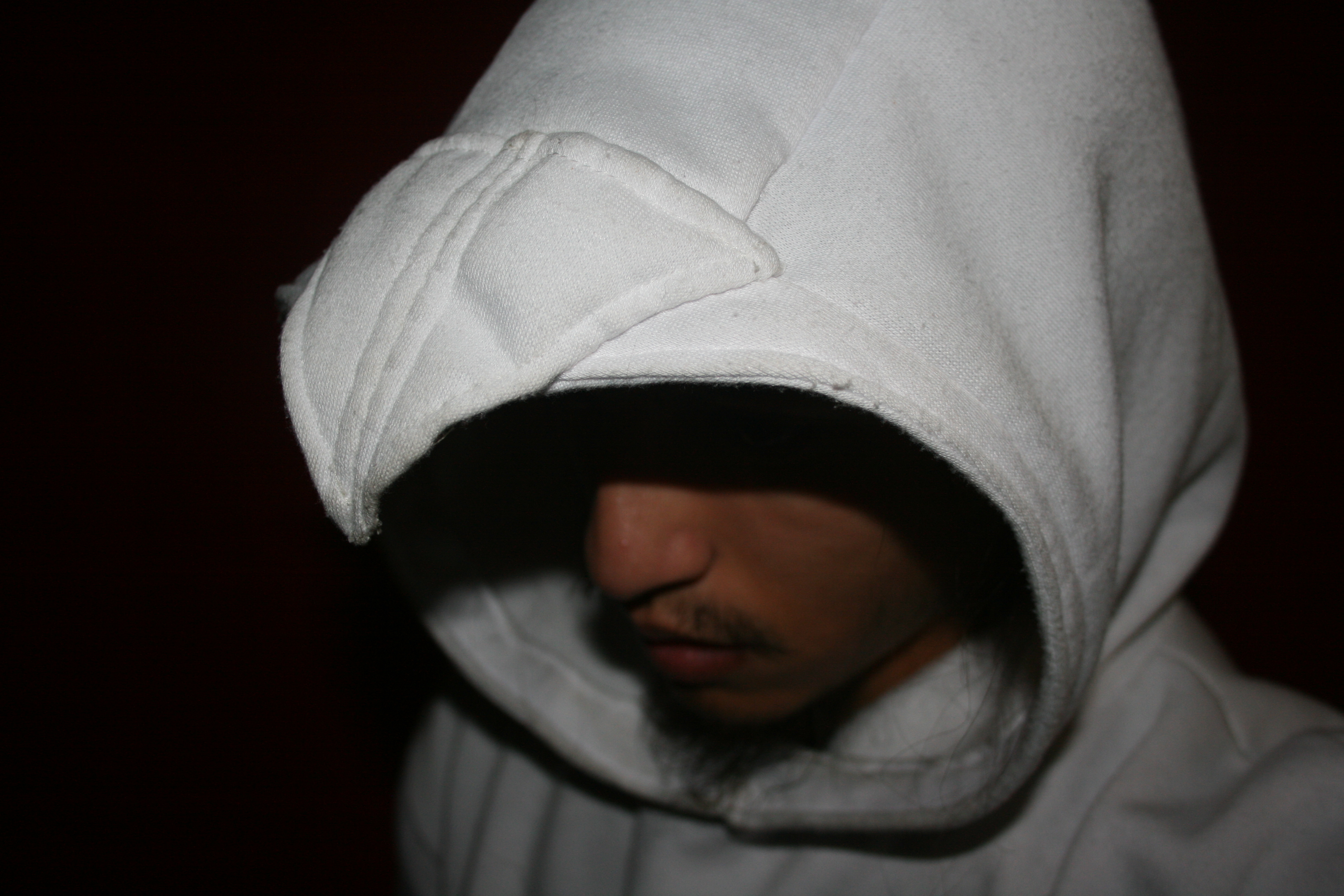 AssassinHoodie (18).JPG