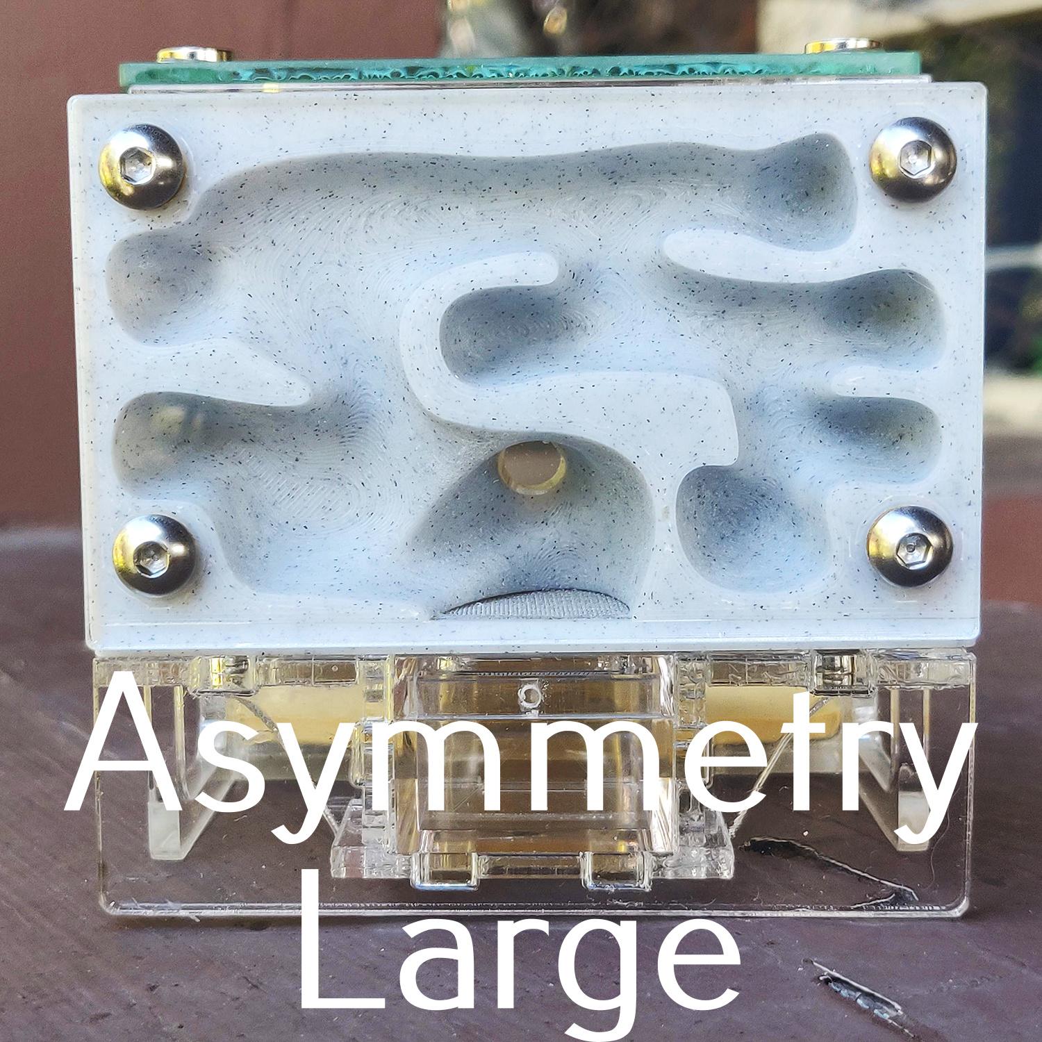 Asymmetry Large.jpg