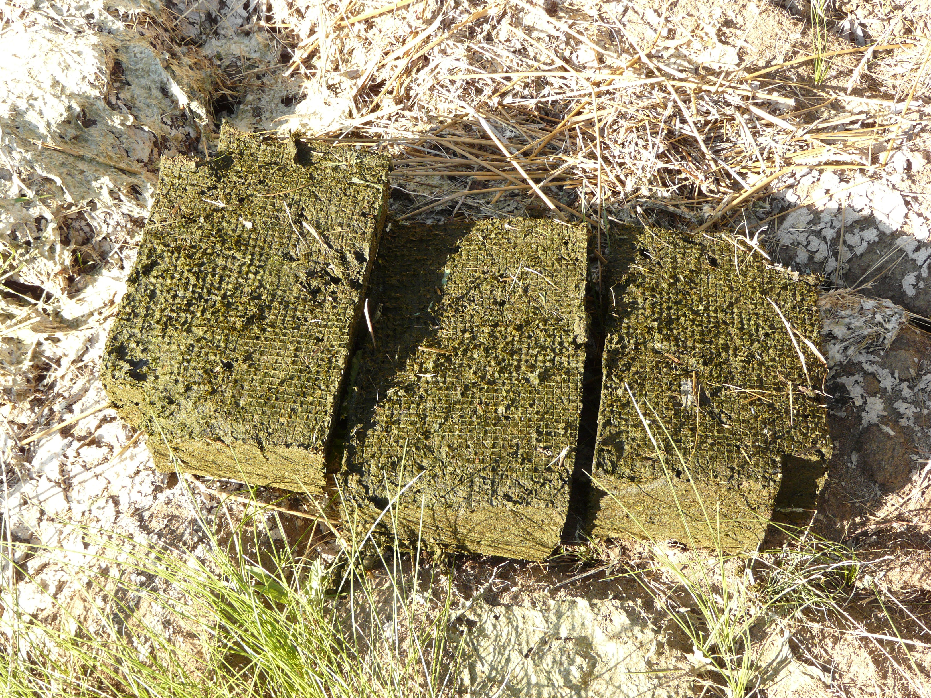 Aug212011 011.JPG