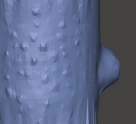 Autodesk_Meshmixer_modify_bark.png