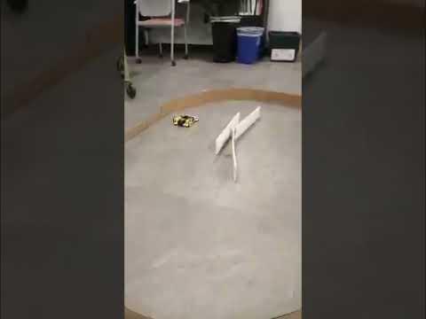 Autonomous Robot Racer: Analog Mode Example