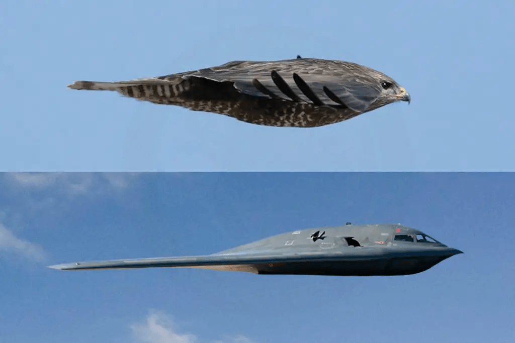 B-2-by-morther-nature-comparison.png