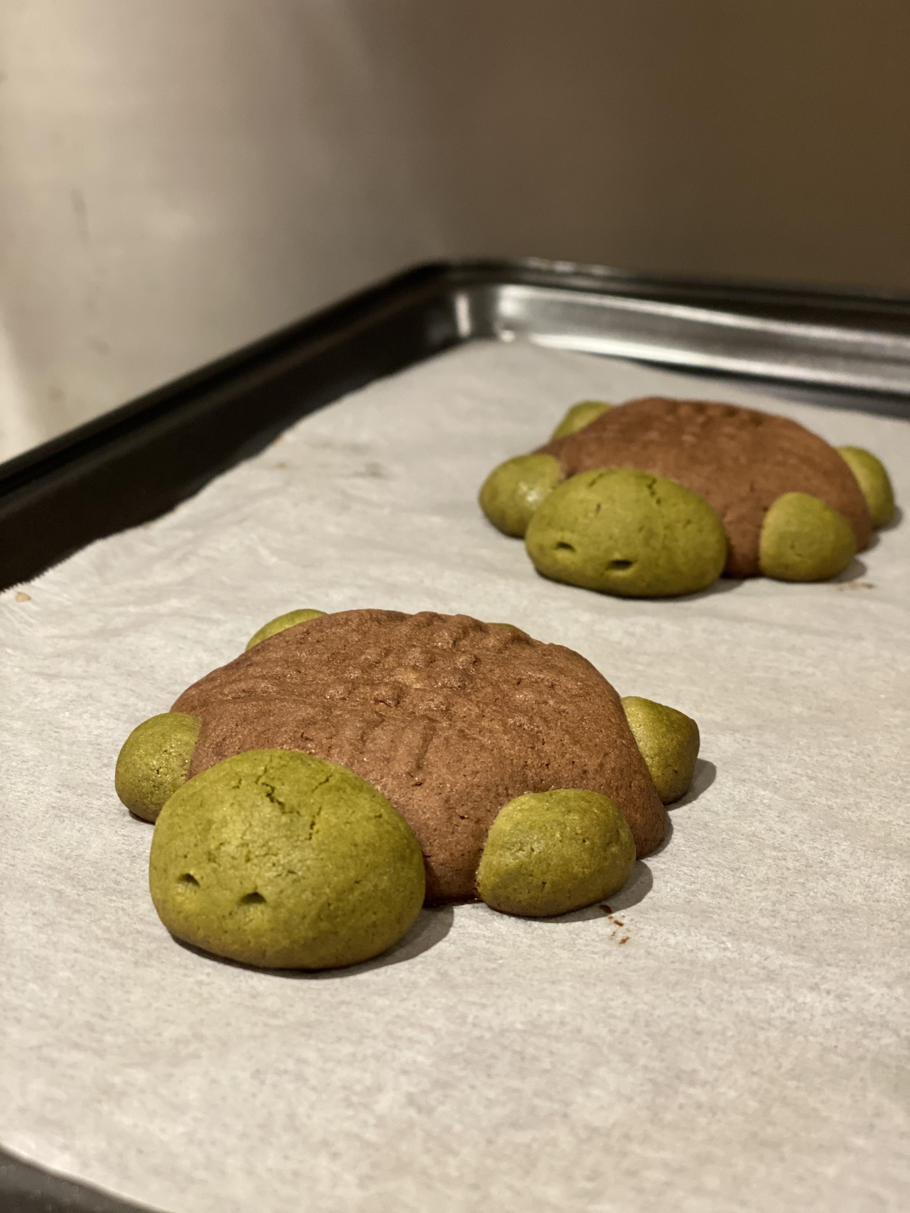 BAKED TURTLE.jpg