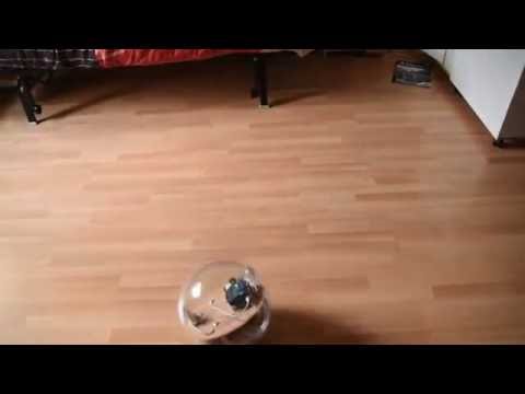 BB-8 Drone Raspberry Pi - bb8log.com