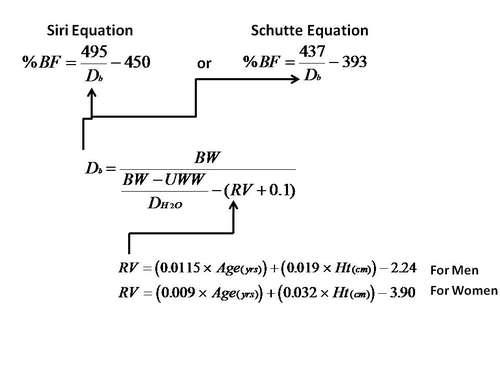 BF Equations.jpg