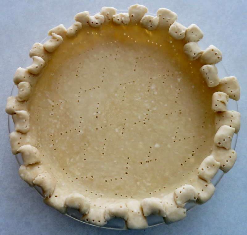 BP2 (800x761).jpg