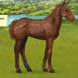 Babyhorse.PNG