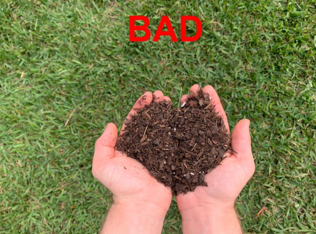 BadSoil.JPG