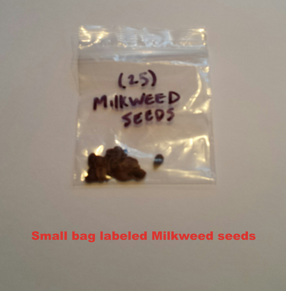 Bag of Milkweed seeds.bmp