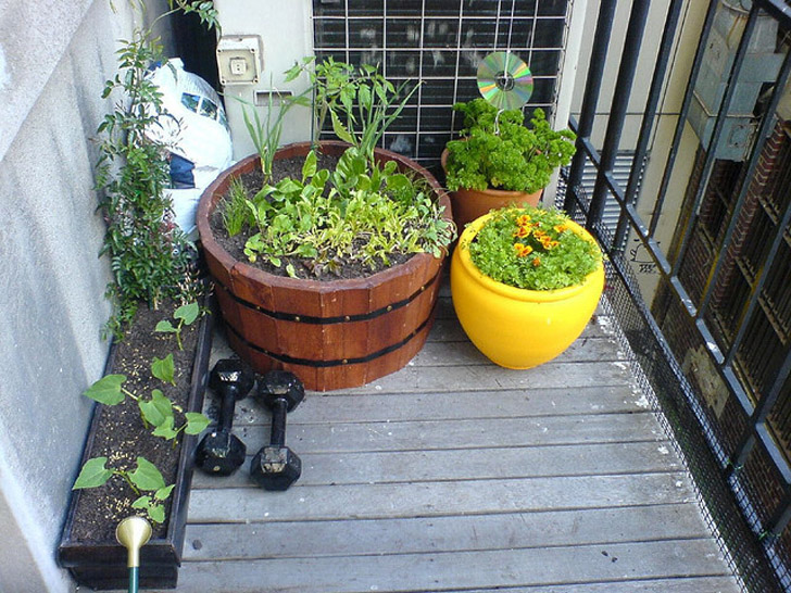 Balcony-Garden.jpg