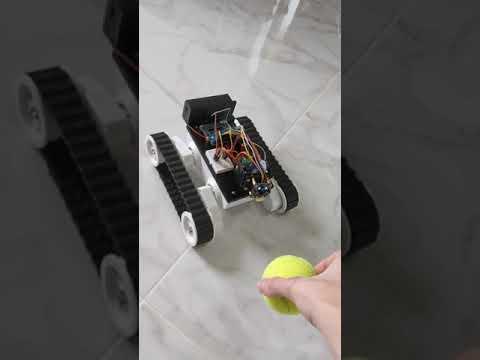 Ball following robot