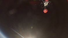 Balloon-pop.jpg