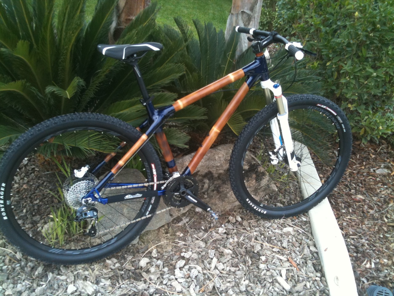 Bamboo 29er1.JPG