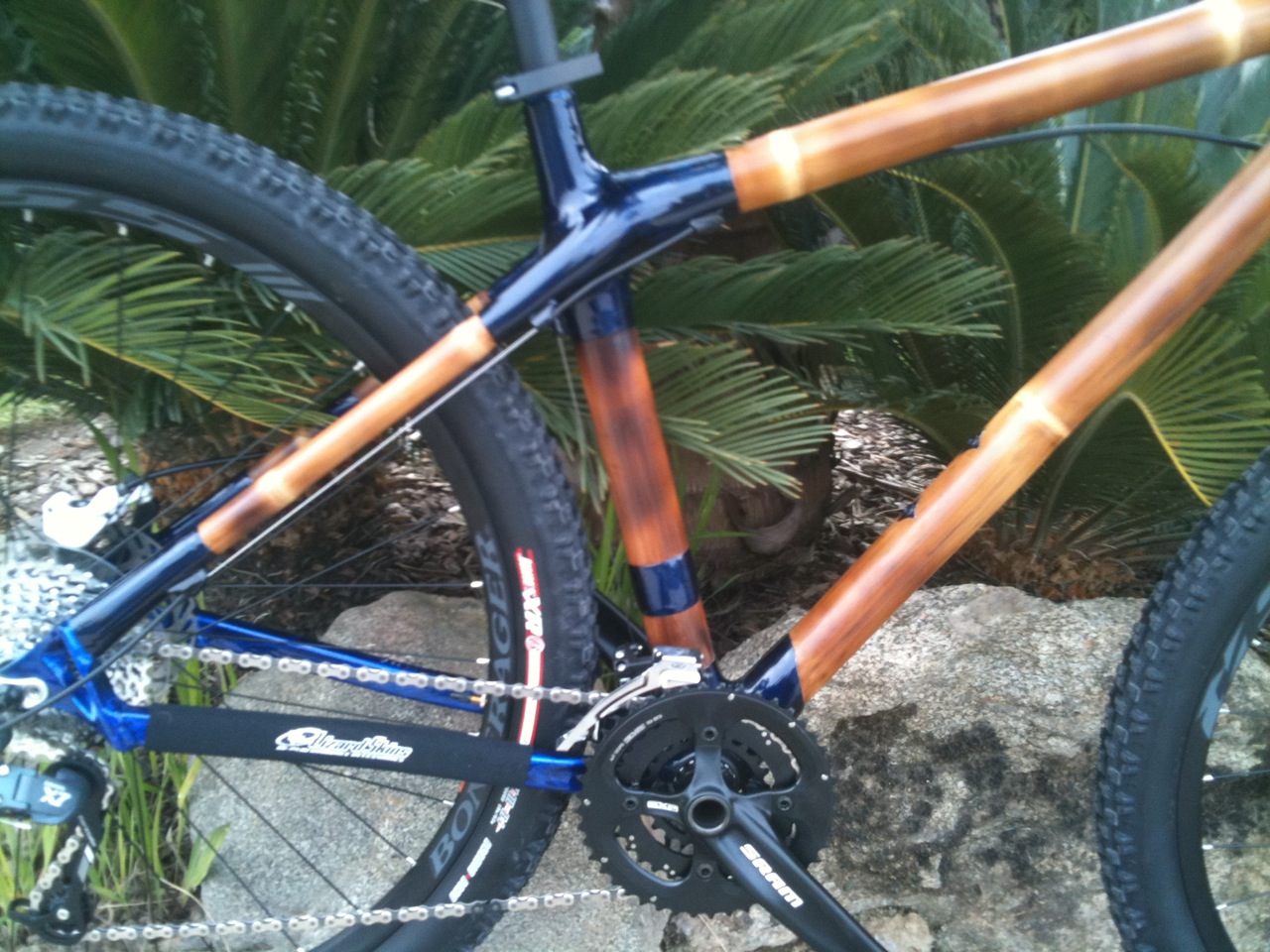 Bamboo 29er2.JPG