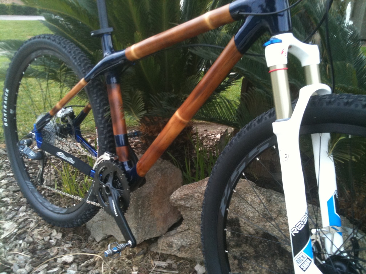 Bamboo 29er3.JPG