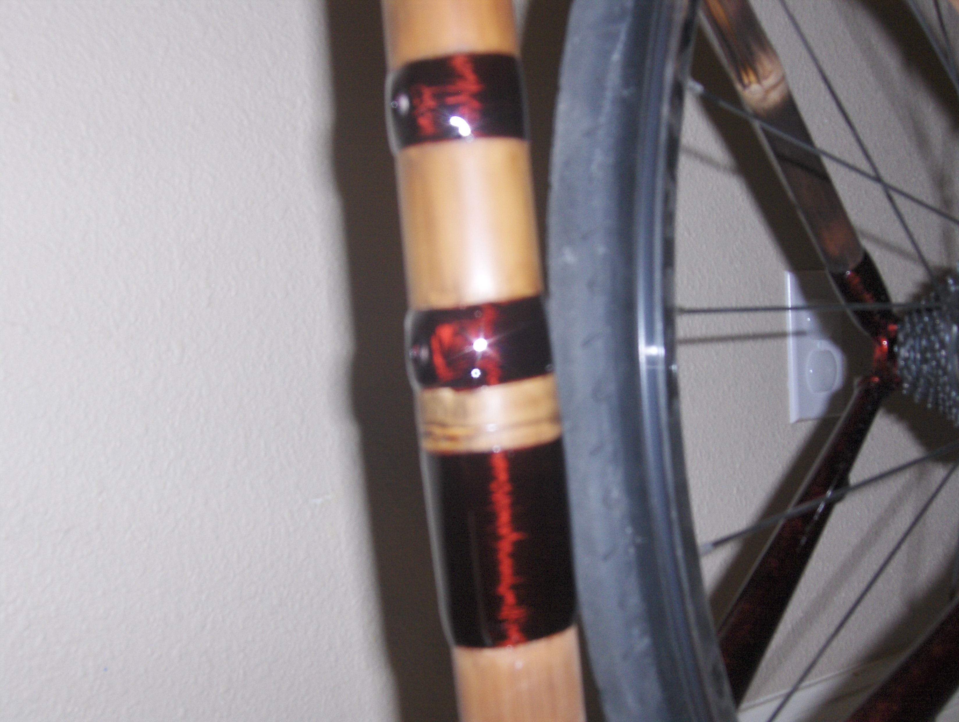 Bamboo Bike #2 082.jpg