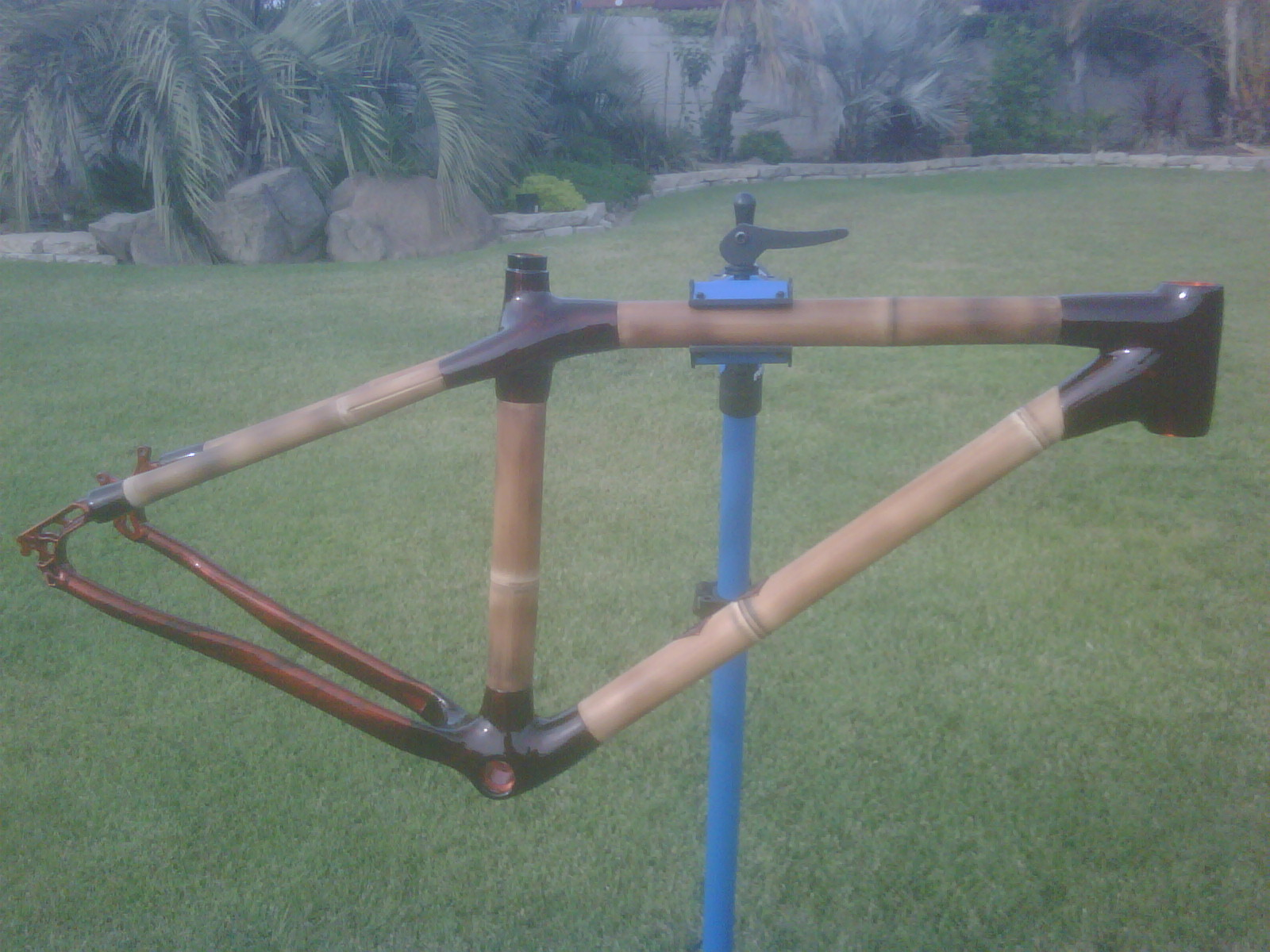 Bamboo Mtn Frame.bmp