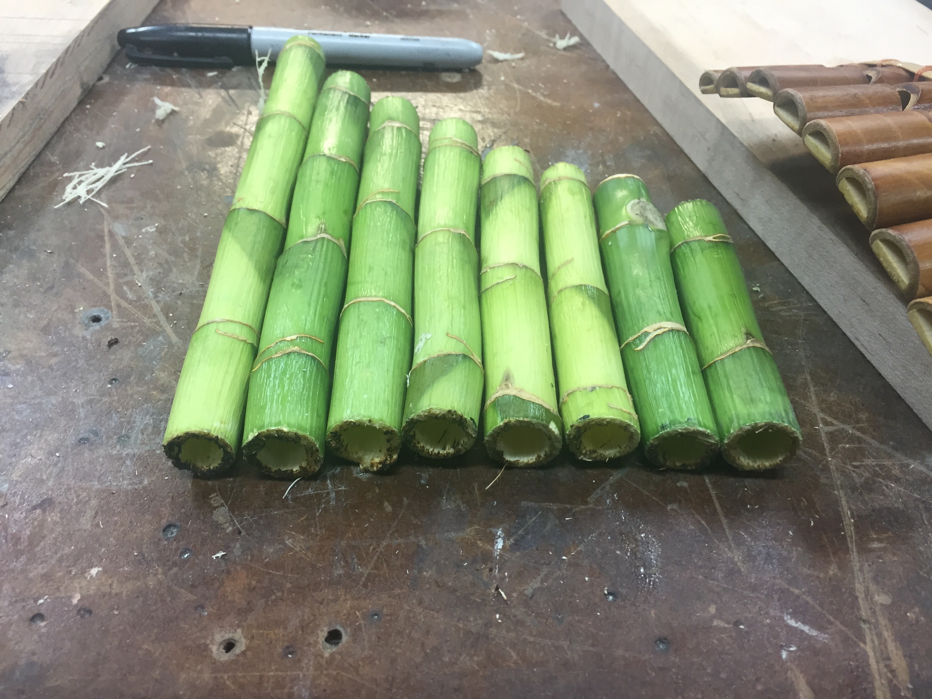 Bamboo022.jpg