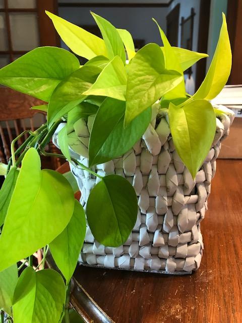 Basket with plant.jpg