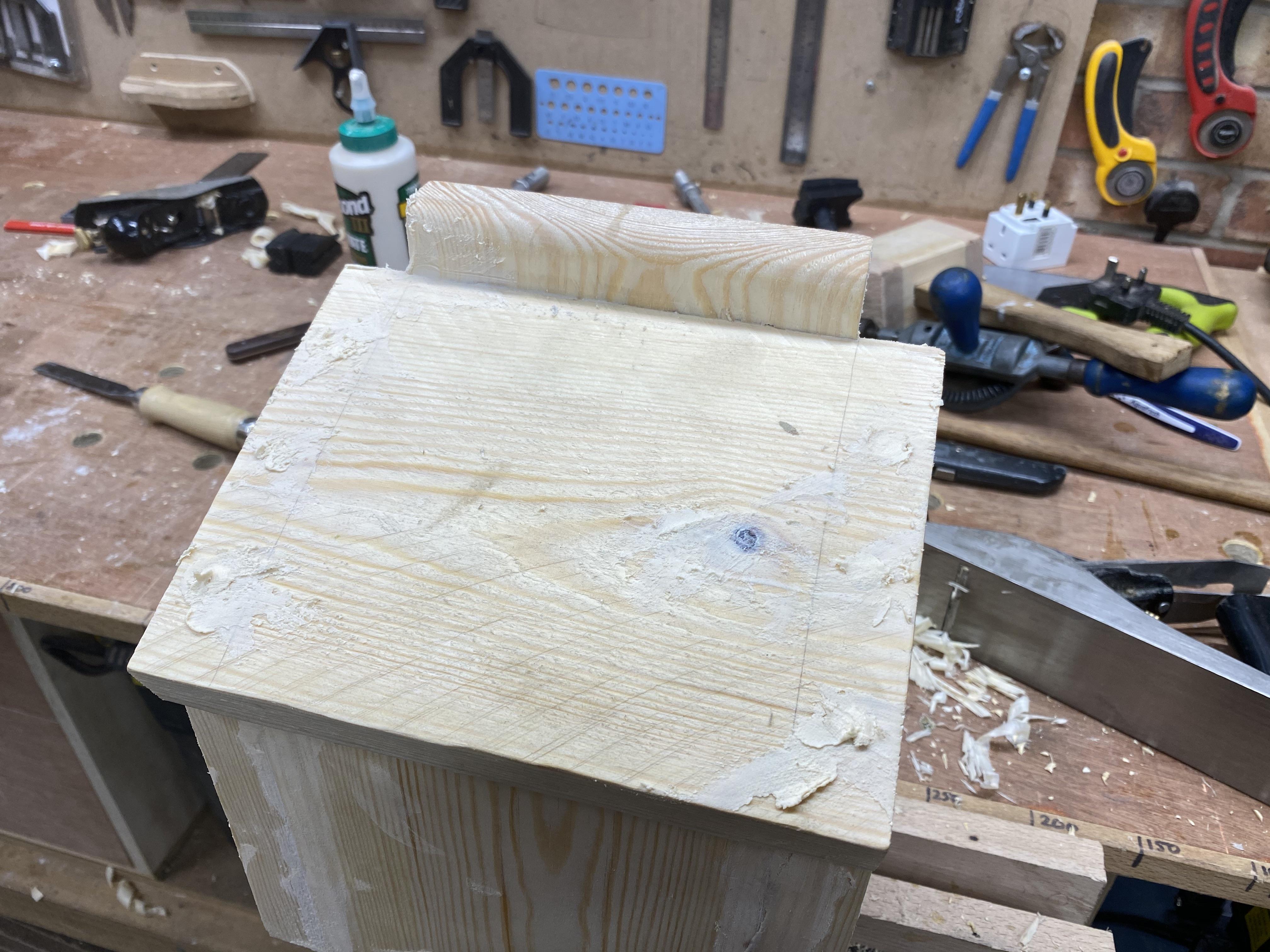 Bat box 39.jpeg