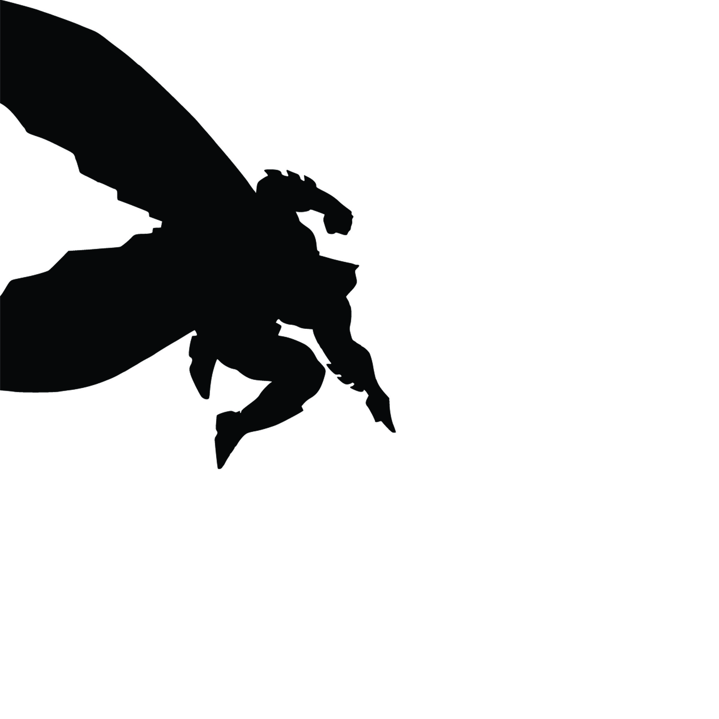 Batman TDKR Silhouette.jpg