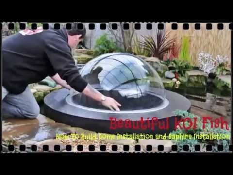 Beautiful KOI Fish -  How To Build Dome  and saphire Installation