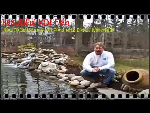 Beautiful KOI Fish - How To Build Pond with Waterfall System Part II