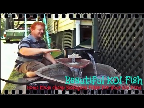 Beautiful KOI Fish - How To Make Home made Biological Filter for your KOI